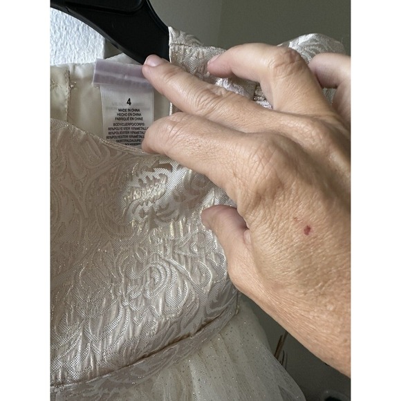 Blueberi Boulevard Holiday Flower Girl Dress, 4 EUC - Picture 5 of 6